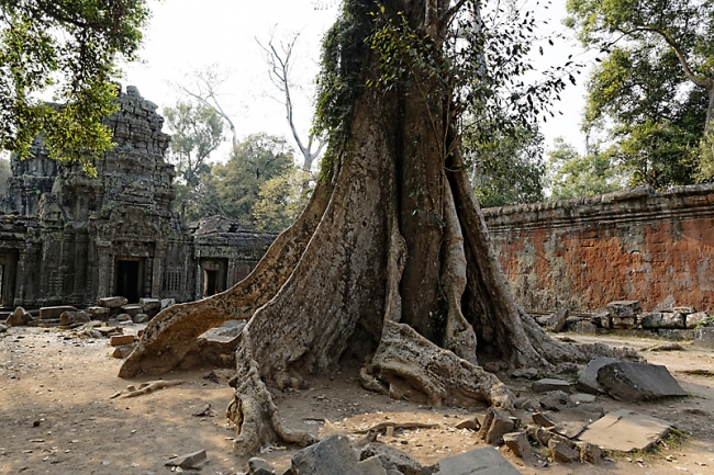 Ta Phrom et environs-076